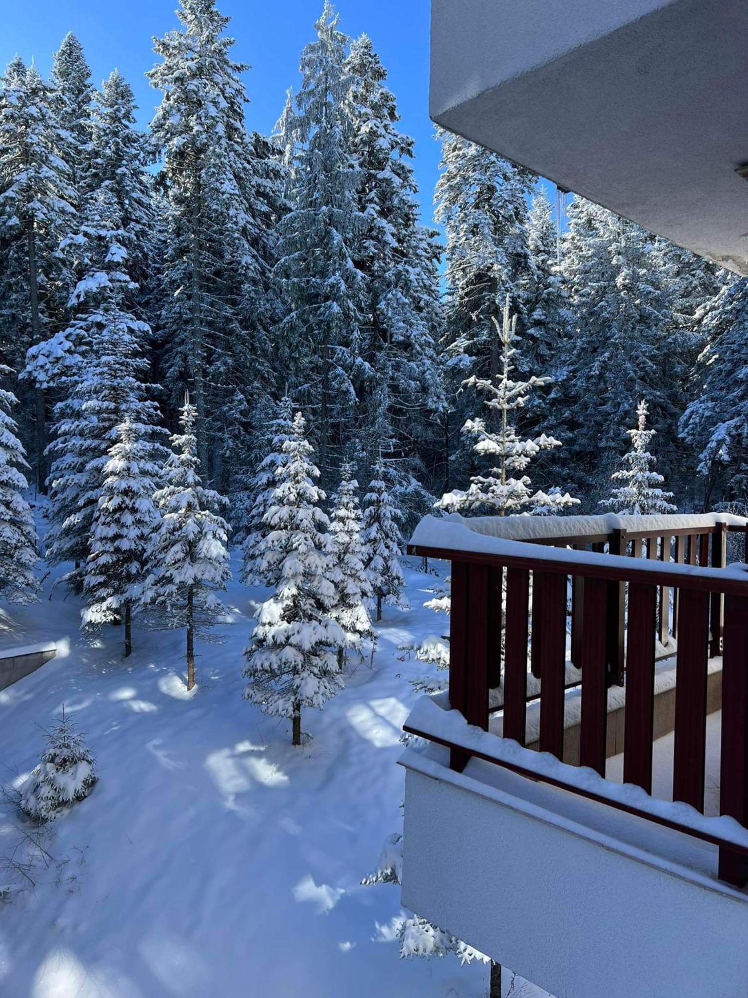 Arboro Flora Residence Studio Borovets Exterior foto