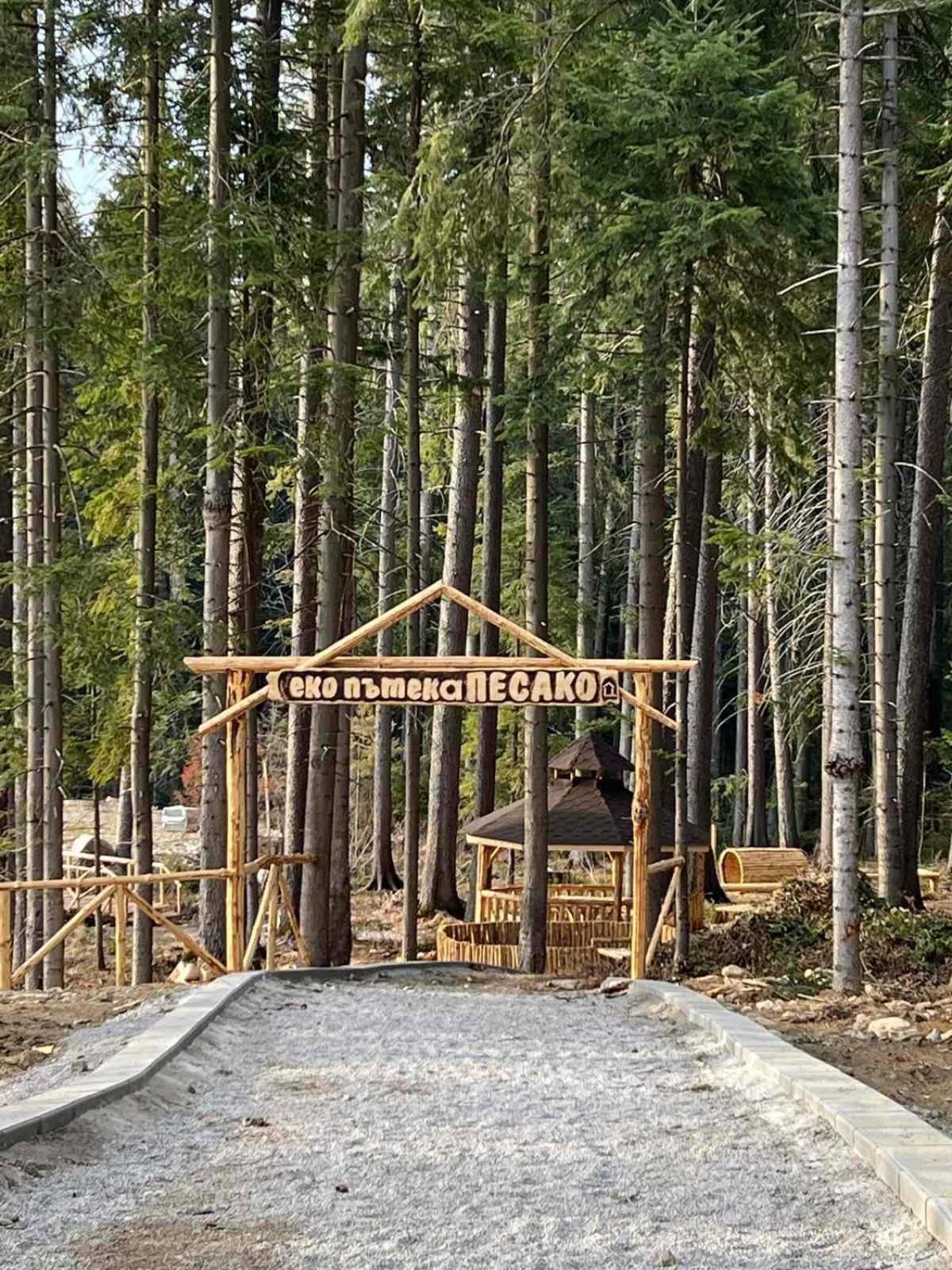 Arboro Flora Residence Studio Borovets Exterior foto